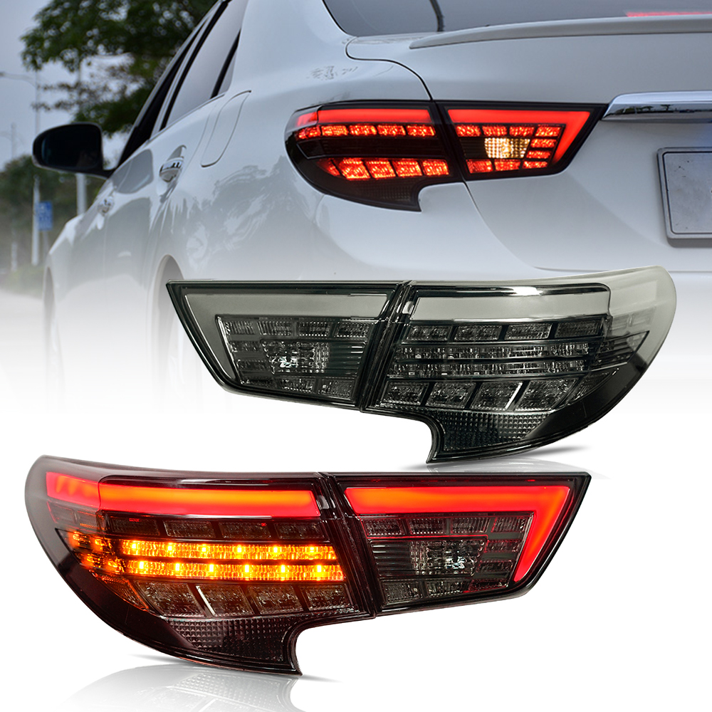 Reiz Tail Lights