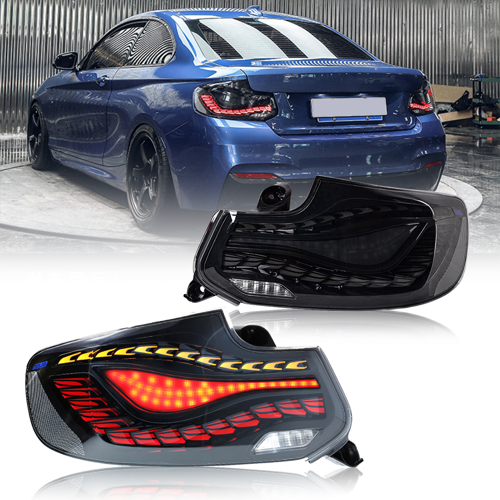 Tail Light